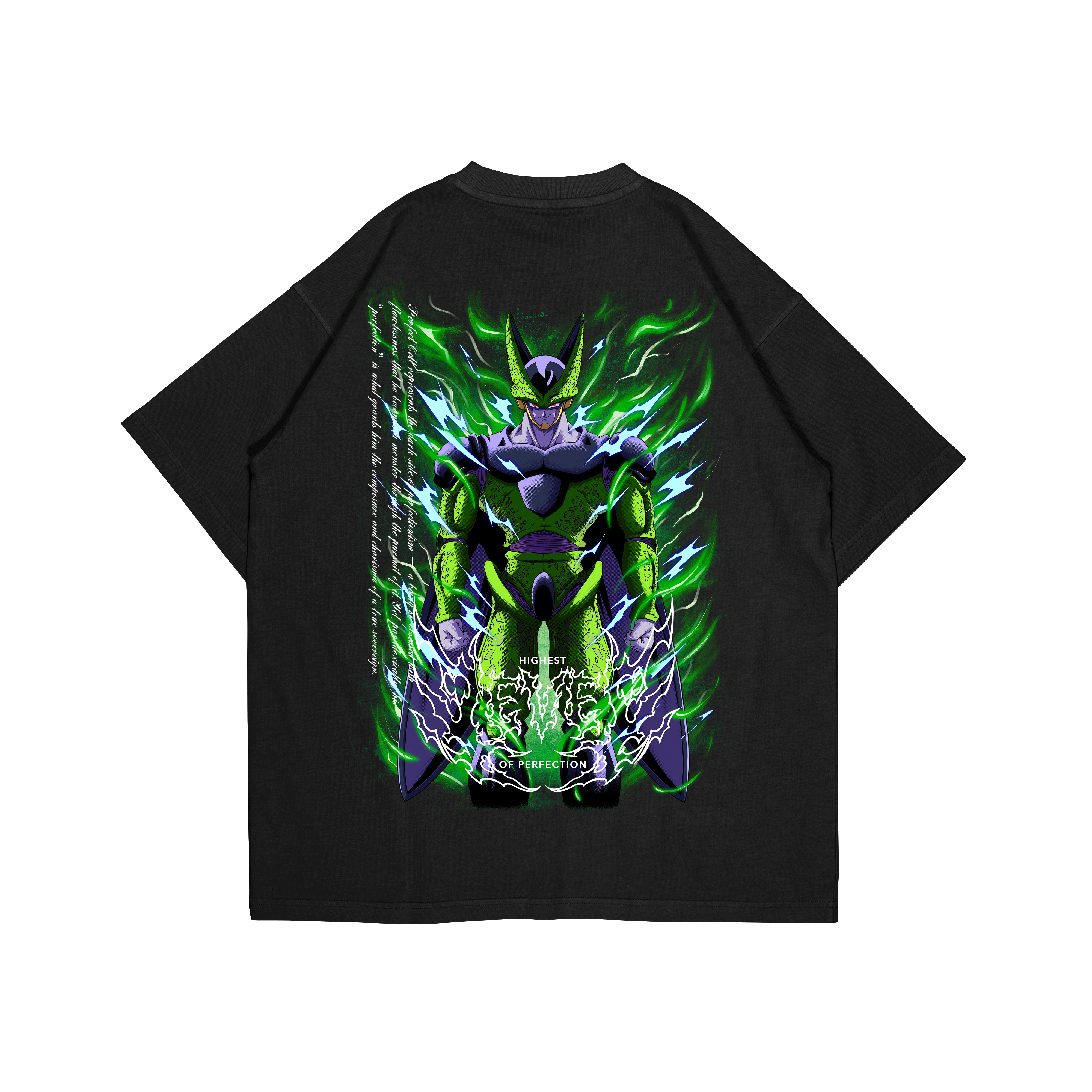 PERFECTION - OVERSIZED SHIRT